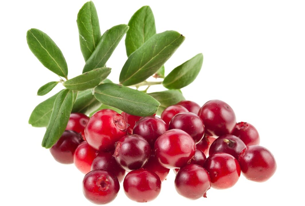 cranberry para o tratamento da cistite
